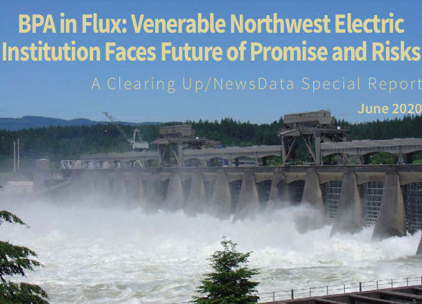 BPA in Flux